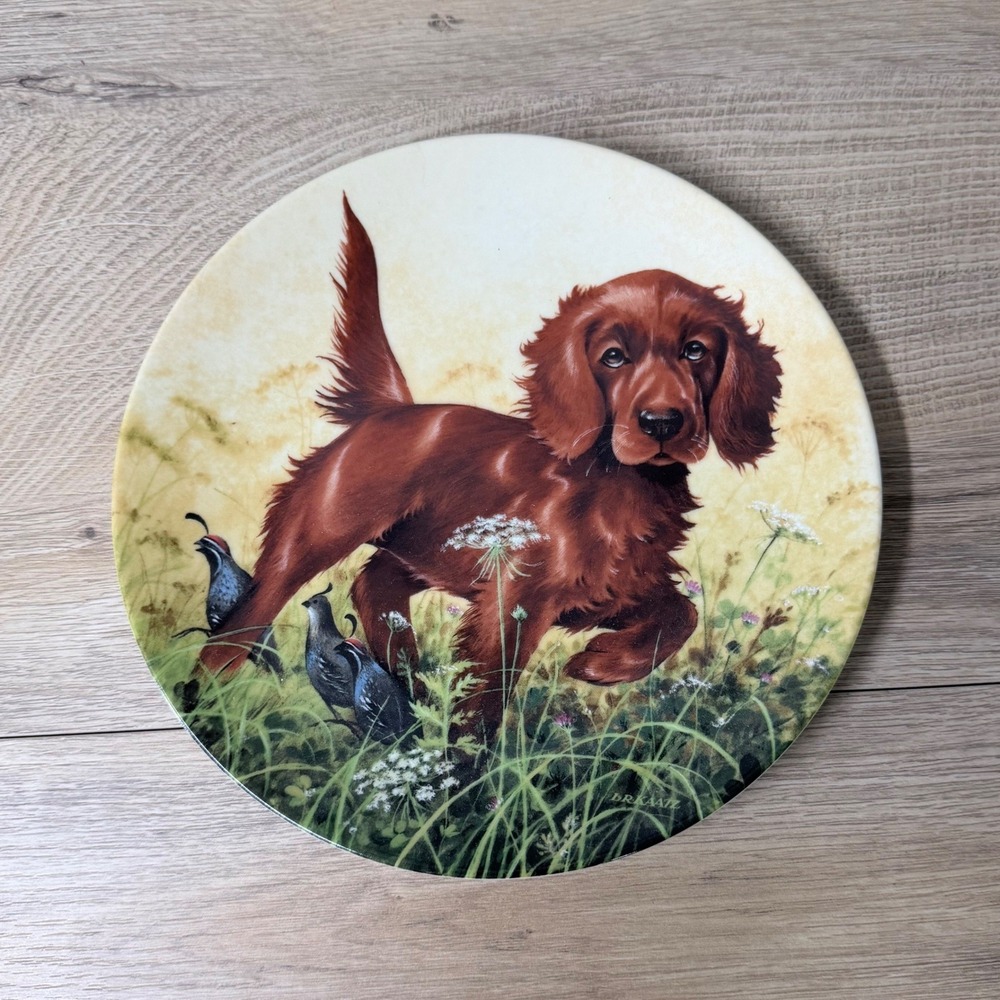 Edwin Knowles Collector Plate Missing the Point Irish Setter Kaatz 1988 8.5"